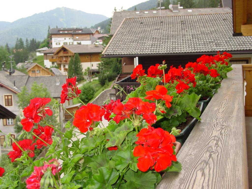 Ciasa Rudiferia Appartamenti In Alta Badia Ngoại thất bức ảnh