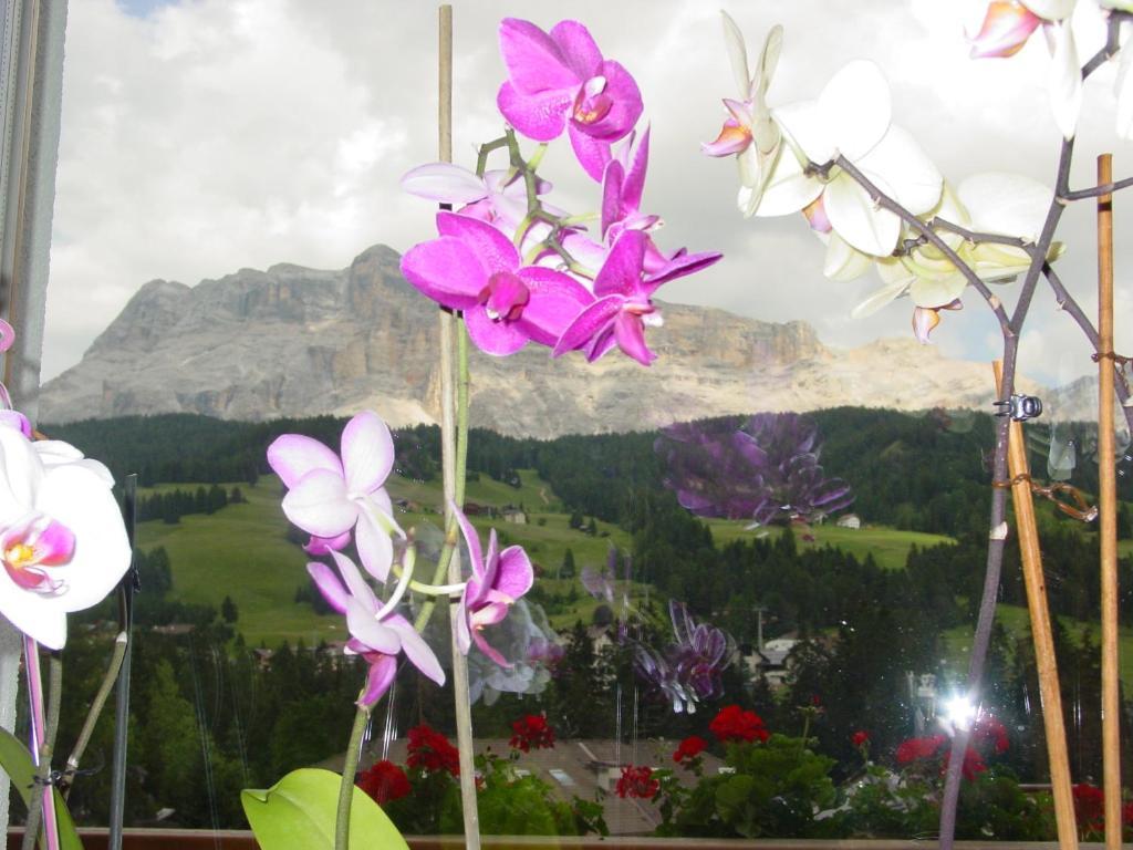 Ciasa Rudiferia Appartamenti In Alta Badia Ngoại thất bức ảnh